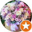 Di Ana profile picture